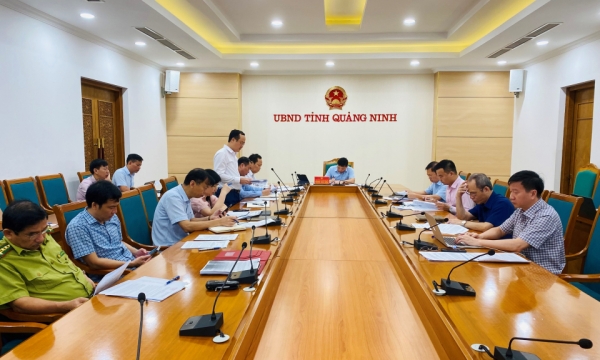 The People's Committee held a meeting to implement Resolution No. 37 of the Provincial People's Council.