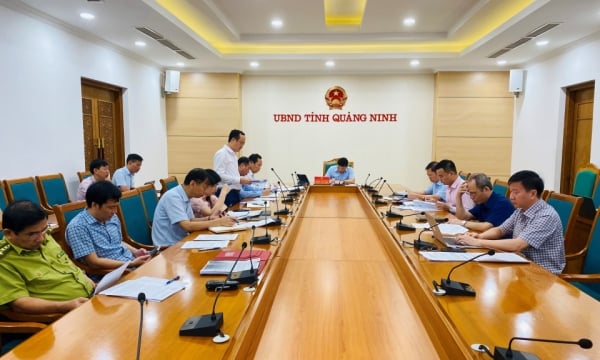 Provincial People's Committee held a meeting to implement Resolution No. 37 of the Provincial People's Council