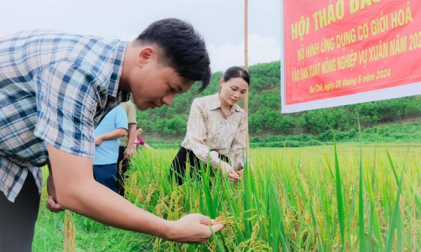 ការ​គាំទ្រ​បន្ថែម​ទៀត​សម្រាប់​ជនជាតិ​ភាគតិច​ក្នុង​ការ​អភិវឌ្ឍ​ផលិតកម្ម