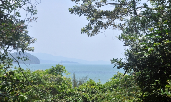 L'île verte de Ba Mun - Journal électronique de Quang Ninh