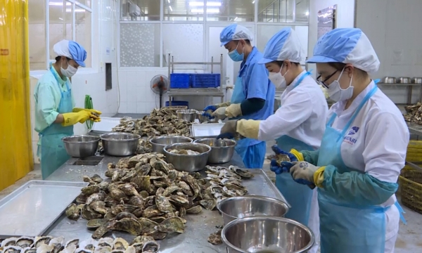 Produktionserweiterung für Quang Ninh OCOP-Produkte