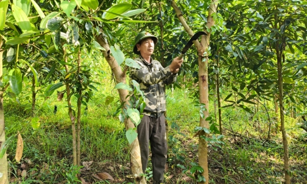 Secteur économique clé de Ba Che