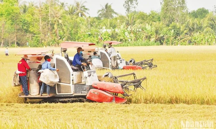 Tạo đà cho kinh tế tuần hoàn lúa gạo