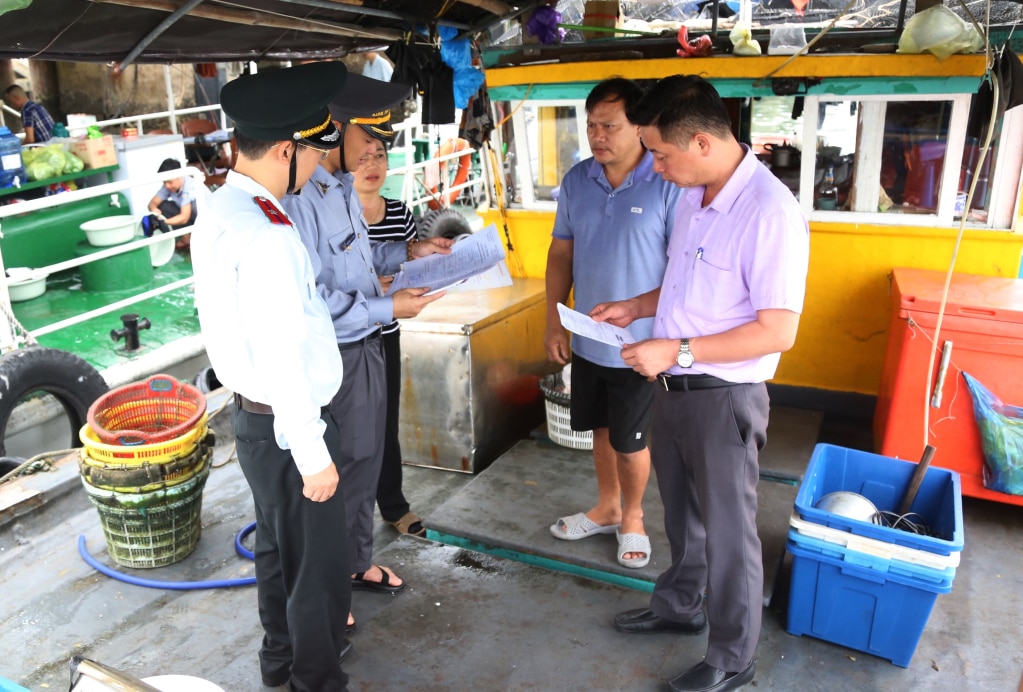 ทีมตรวจสอบของกรมเกษตรและพัฒนาชนบทตรวจสอบการปฏิบัติตามบทบัญญัติของกฎหมายว่าด้วยการประมงสำหรับเรือประมงที่ดำเนินการในน่านน้ำจังหวัดกว๋างนิญ ภาพ: เหงียน ถั่น