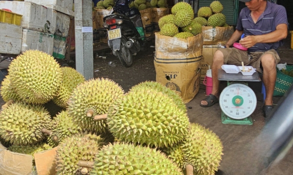 Durian für 30.000 VND/Frucht quillt auf den Bürgersteig: Was ist die Wahrheit?