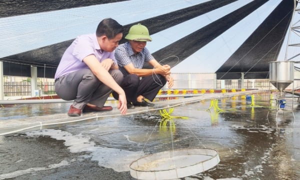 農家は生産にハイテク技術を導入