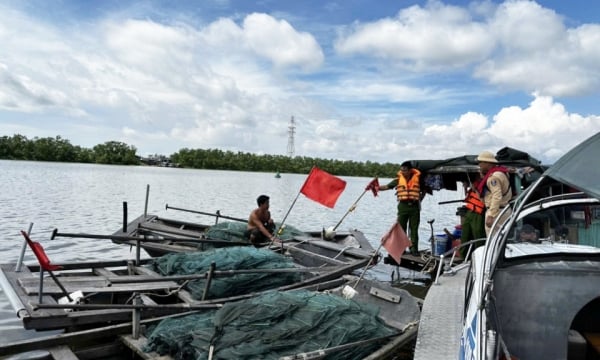 ក្រុង Quang Yen ៖ រឹបអូស​បាន​ទ្រុង​ចំនួន ១១៥ ដែល​ប្រើ​សម្រាប់​នេសាទ​ខុស​ច្បាប់