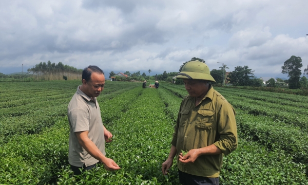 “Bắt tay” để cùng thắng