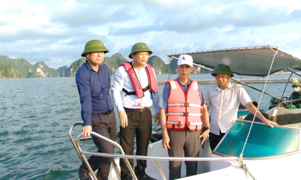 Quang Yen town must create clear changes in maritime area and IUU