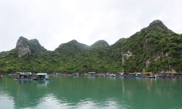 Exploitation de la baie de Bai Tu Long