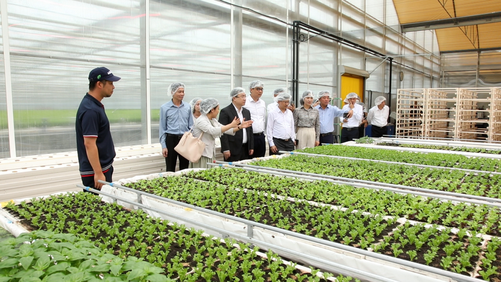 Stärkung der Zusammenarbeit im Bereich Humanressourcen zwischen der Provinz Quang Ninh (Vietnam) und Hokkaido (Japan)