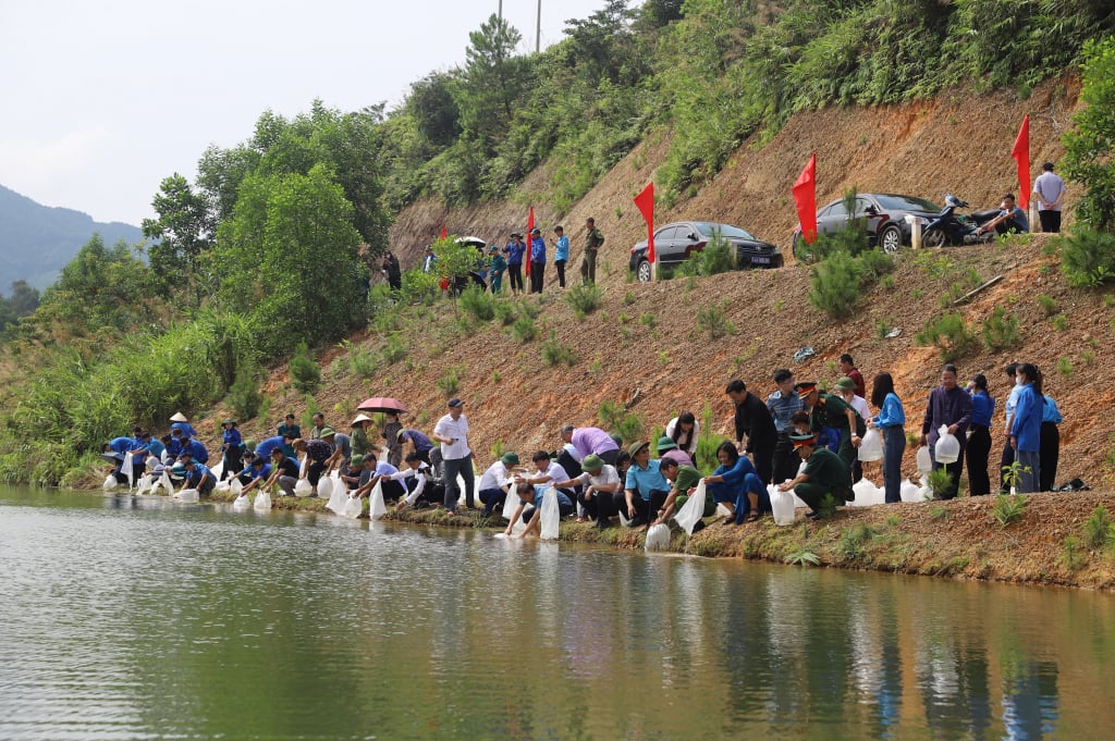 Lãnh đạo Sở Nông nghiệp và phát triển Nông thôn tỉnh, lãnh đạo Huyện Bình Liêu, Hội nghề cá,  cán bộ nhân dân huyện Bình Liêu thả gần 60.000 con cá giống xuống hồ chứa nước Nà Mo.