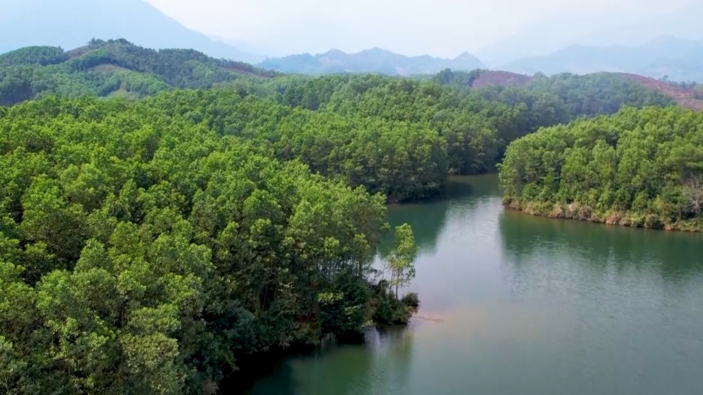 Rừng mang nhiều tác dụng, vừa phát triển kinh tế, vừa bảo vệ cảnh quan, môi sinh, môi trường. Ảnh chụp rừng đầu nguồn hồ Yên Lập.