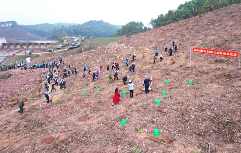 Dam Ha people started planting large timber forests at Dam Ha Dong Lake in February 2024.