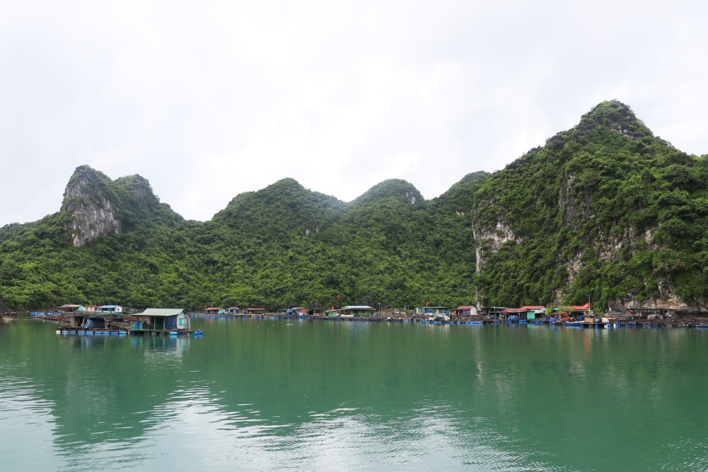 Fischerdorf Lao Vong in der Bucht Bai Tu Long.