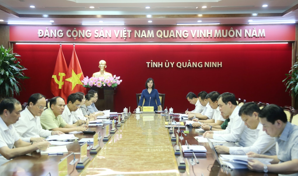 Đồng chí Trịnh Thị Minh Thanh, Phó Bí thư Thường trực Tỉnh ủy chủ trì và kết luận hội nghị.