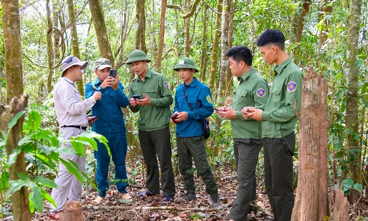 Chú trọng chuyển đổi số lĩnh vực lâm nghiệp