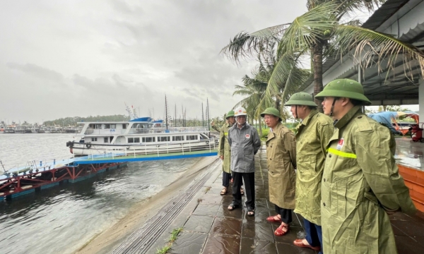 El ministro de Agricultura y Desarrollo Rural, Le Minh Hoan, inspecciona las obras de prevención y control de tormentas n.º 3 en Quang Ninh.