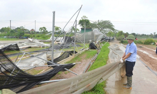 Sau bão số 3 Yagi: Đồng rau tan nát, siêu thị tăng cung ứng