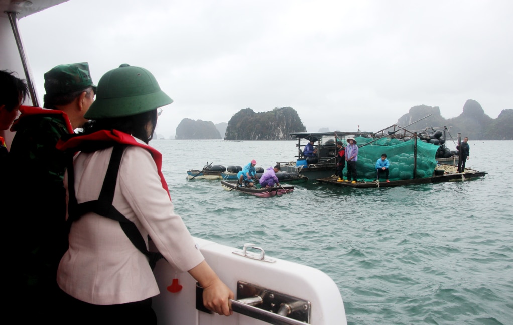 The Standing Deputy Secretary of the Provincial Party Committee visited people cleaning up HDPE buoys floating on the sea.