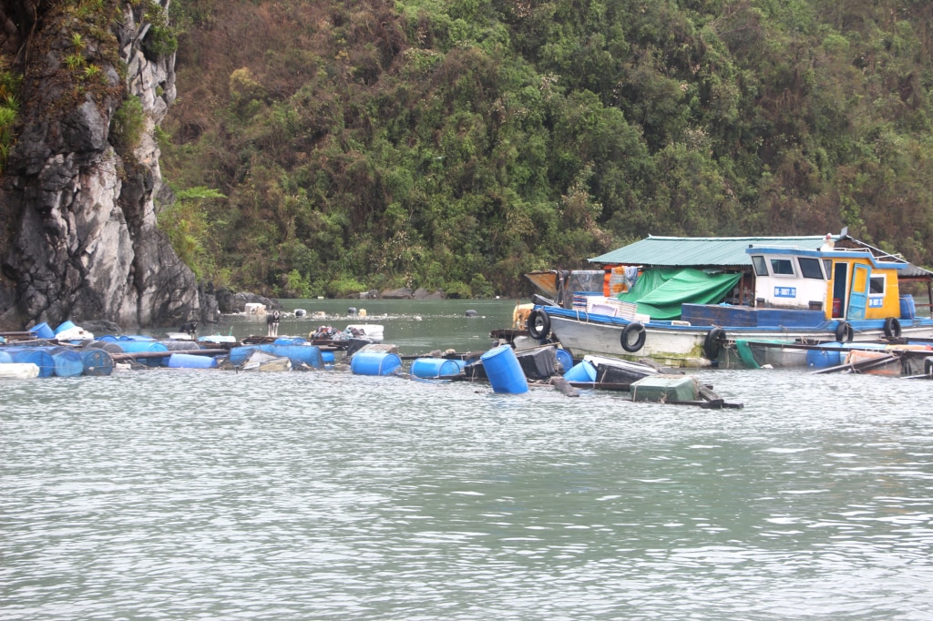 Aquaculture cages of Cam Pha City residents were severely damaged by the storm.