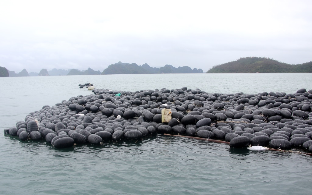 HDPE-Bojen in der Aquakultur wurden durch Sturm Nr. 3 auf See weggespült. Foto: Manh Truong