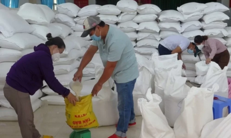 Providing food, supplies, and disinfectant chemicals to localities to overcome storm No. 3