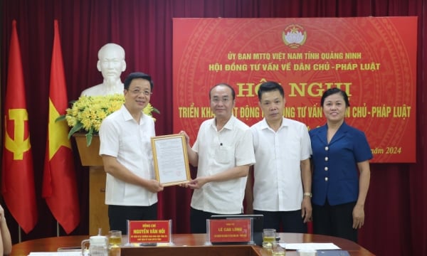 Comité provincial du Front de la Patrie du Vietnam : lancement du Conseil consultatif sur la démocratie et le droit, mandat XII, 2024-2029