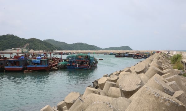 コト島の漁船用嵐避難所停泊地の早期完成