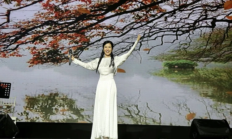 Soirée musicale « Affection du Sud » pour soutenir les compatriotes du Nord