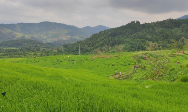 Huyện Bình Liêu: Sẵn sàng cho cao điểm du lịch mùa thu đông