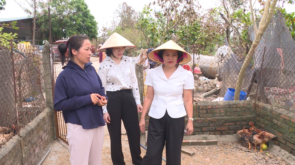 Chi cục Chăn nuôi & Thú y tỉnh kiểm tra, hướng dẫn hộ chăn nuôi tái đàn sau bão tại TX Đông Triều.