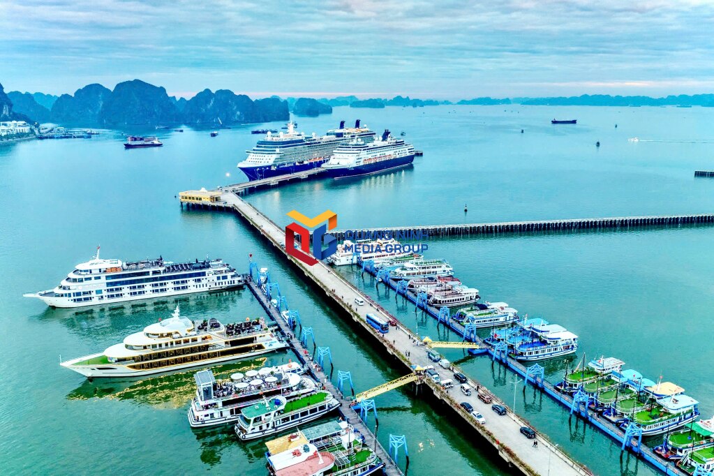 Ha Long International Passenger Port has a synchronous and modern infrastructure and is a favorite destination for international cruise ships.