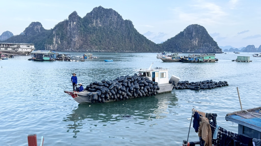 Người dân thu gom lại một phần phao nuôi hàu còn sót lại trên biển. Ảnh: Mạnh Trường