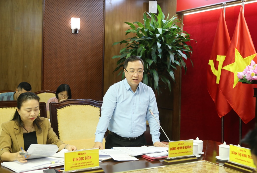 Comrade Dang Xuan Phuong, Deputy Secretary of the Provincial Party Committee, Head of the Provincial National Assembly Delegation, spoke at the conference.