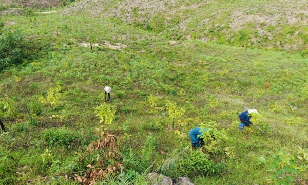 バチェ地区：第3次台風の影響の克服に注力