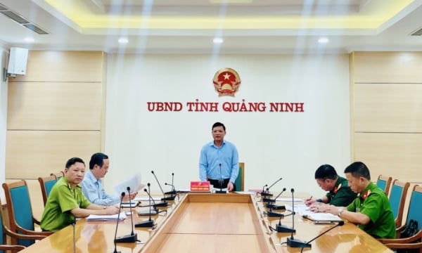 Thoroughly implement the direction of the Provincial People's Committee on forest fire prevention and control and forest environmental sanitation