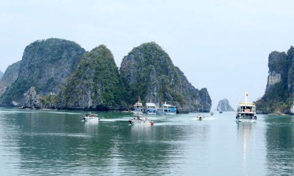 Die Ha Long Bucht erwacht zum Leben …