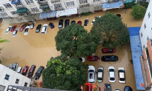 11.600 mil millones de dongs en compensación de seguros por daños causados ​​por la tormenta nº 3