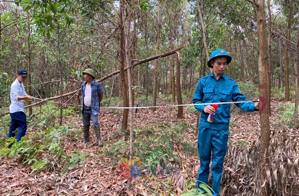 Nhiều địa phương đi thực địa kiểm đếm thiệt hại do bão , anh giang