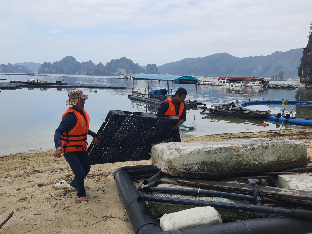 Vợ chồng ông Nguyễn Sỹ Bính (xã Hạ Long, huyện Vân Đồn) gia cố lại thiết bị NTTS để chuẩn bị tái sản xuất.