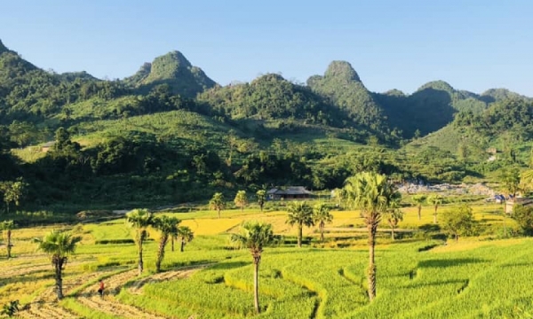 Schönes Dorf wie auf einem Gemälde, bei Touristen wenig bekannt in Thai Nguyen