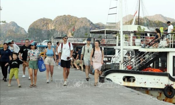 Tourismus dürfte in den letzten Monaten des Jahres anziehen, internationale Besucherzahlen in Vietnam nehmen stark zu