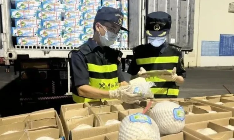 Chinese market receives first shipments of fresh Vietnamese coconuts