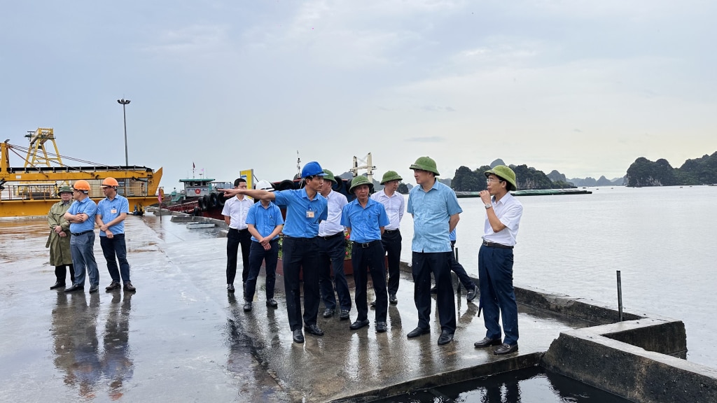 Los líderes de TKV inspeccionan la entrega y recepción de carbón en Cam Pha Port & Logistics Company - TKV.  Foto: Hoang Yen