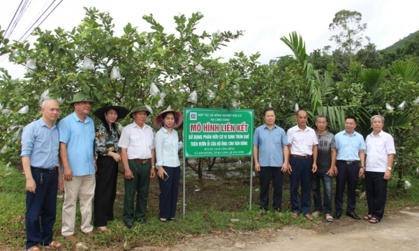 Tiếp sức cho nông dân sản xuất an toàn, hiệu quả