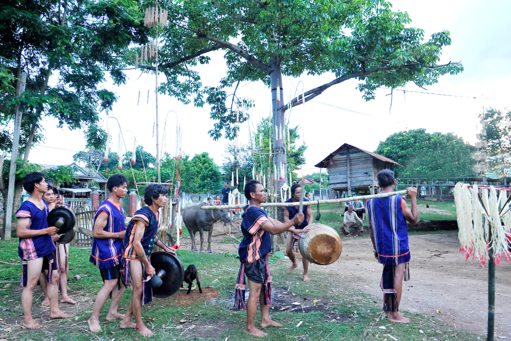 10. Tiếng cồng tiếng chiêng được vang lên trong suốt 3 ngày đêm họ cùng ăn, uống rượu, múa xoang không biết mỏi chân, mỏi tay để thức cùng trâu