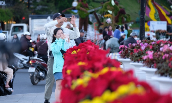 What are the 'highlights' of Da Lat Flower Festival 2024?