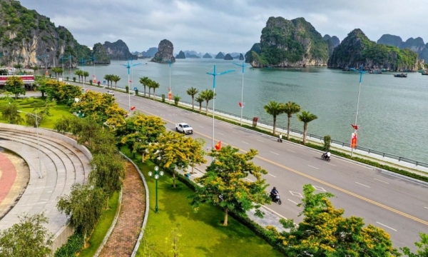 Ha Long City: Schaffung einer grünen Landschaft für die Entwicklung des Tourismus