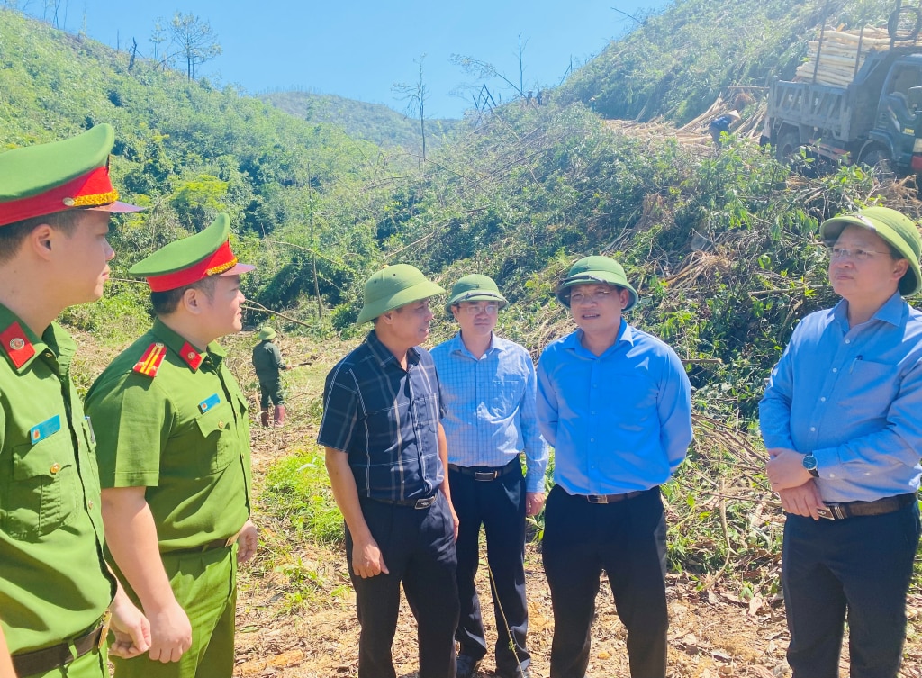 Đồng chí Nghiêm Xuân Cường, PCT UBND tỉnh kiểm tra công tác hỗ trợ tận thu lâm sản, vệ sinh rừng tại khu 9, phường Mông Dương, TP Cẩm Phả.